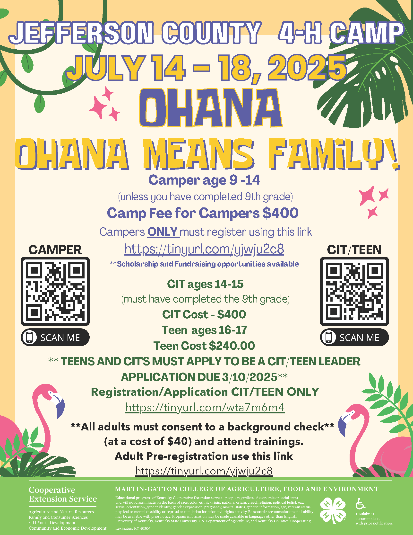 4H camp flyer