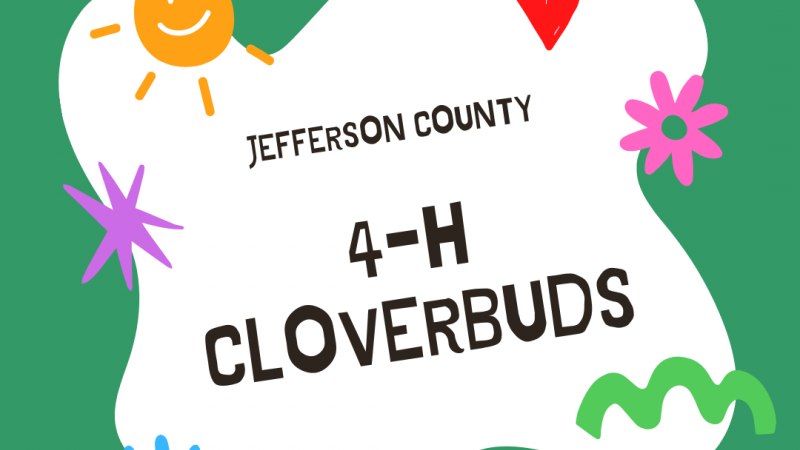 Cloverbuds